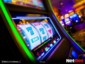 jjjboi|Bingo Online com Versão Mobile – Registre-se Rápido